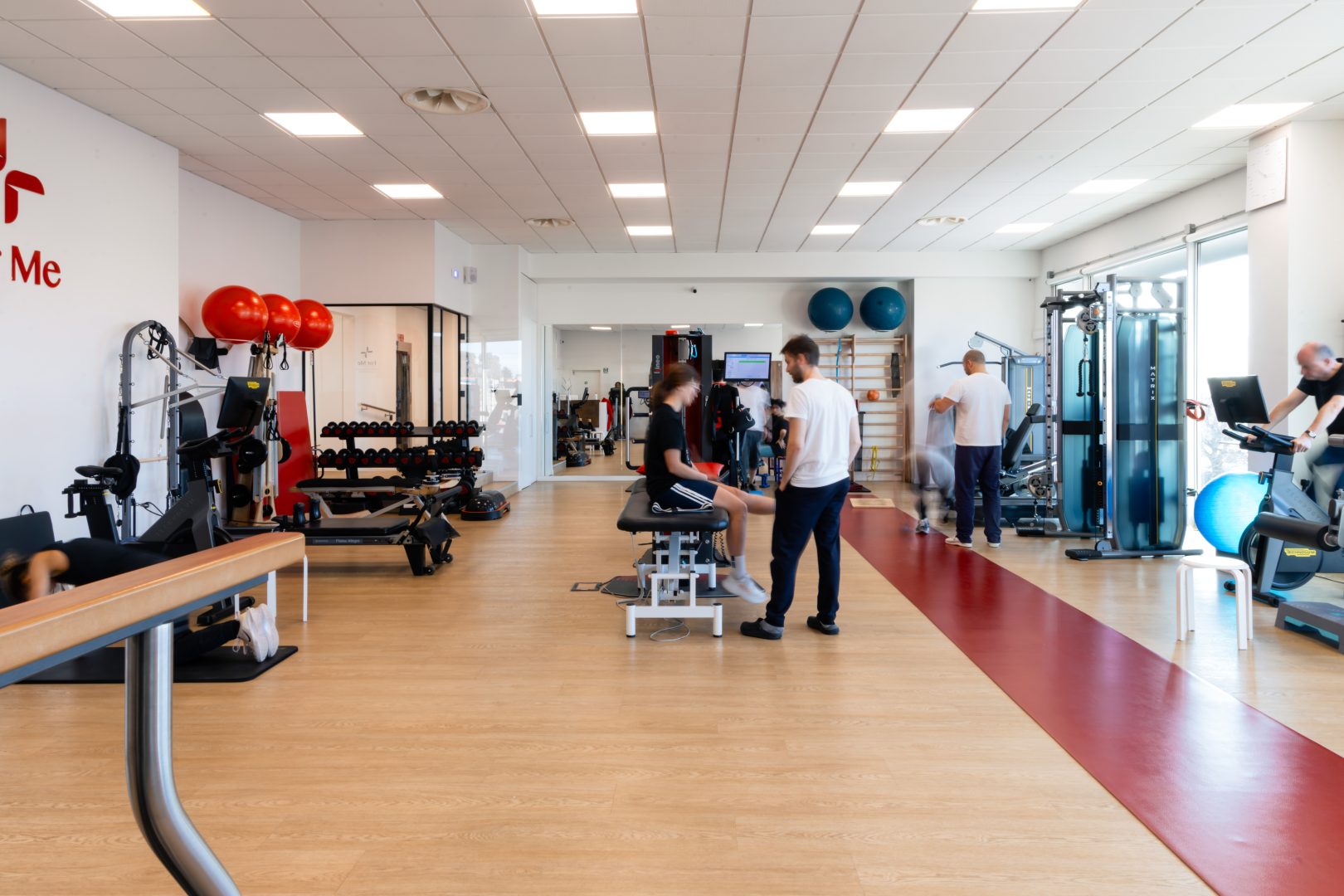 palestra